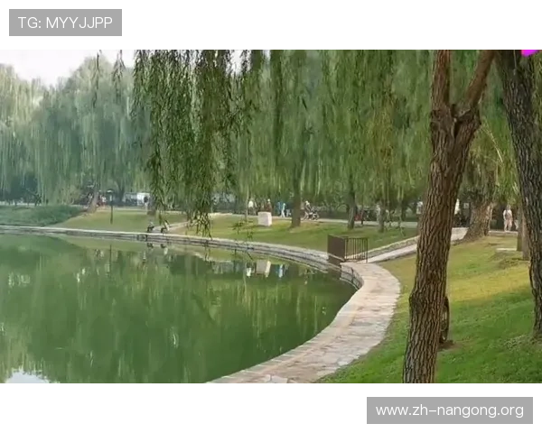 南宫体育公园周边交通攻略与停车指南，方便你的出行与到达