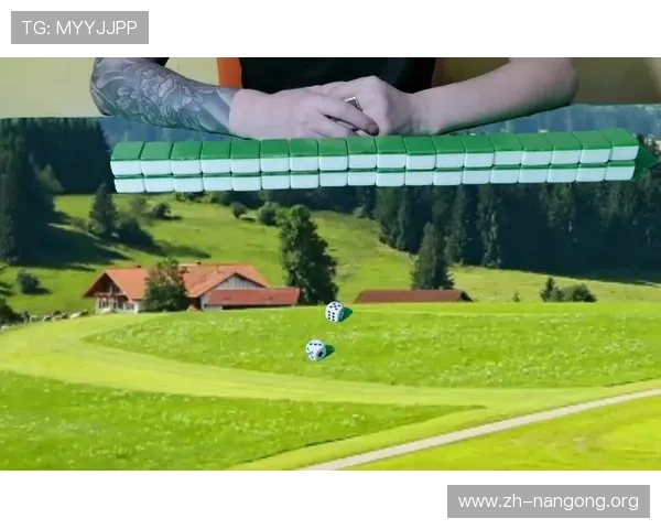 全面解析推饼子玩法的规则与策略，助你轻松赢得游戏胜利