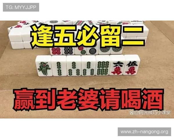 推对子玩法规则详解及实用技巧帮助玩家轻松掌握游戏策略